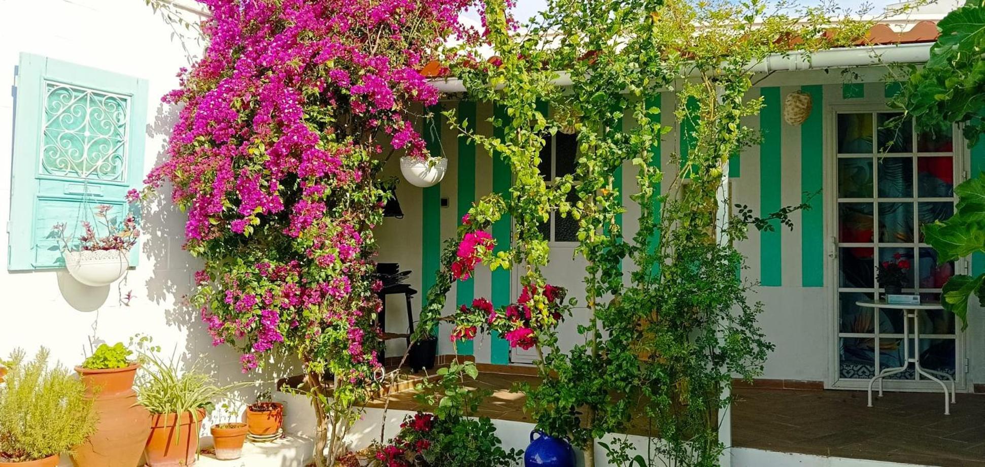 Casa Con Piscina Cerca De Sevilla Carrion de Los Cespedes Экстерьер фото