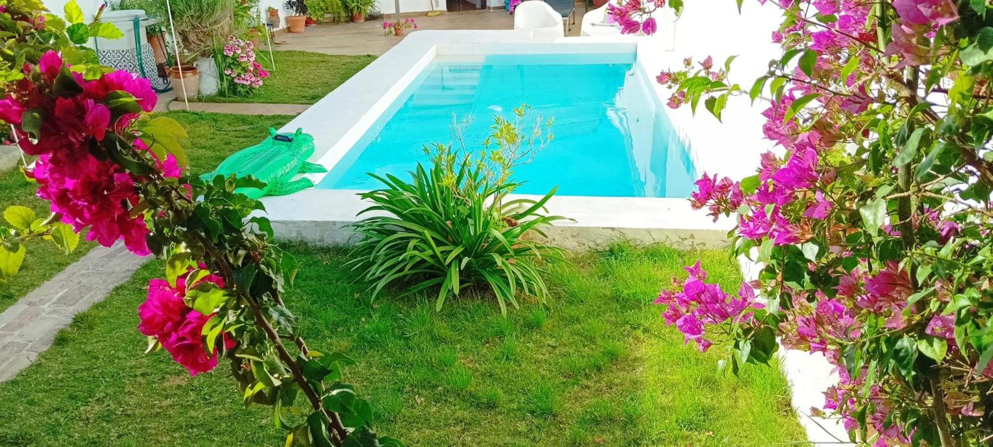 Casa Con Piscina Cerca De Sevilla Carrion de Los Cespedes Экстерьер фото